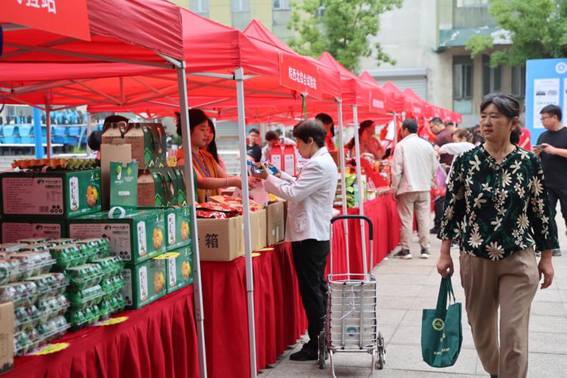 中安新丝路教育